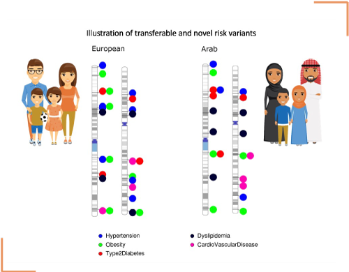 illustration-of-transferable-and-novel-risk-variants