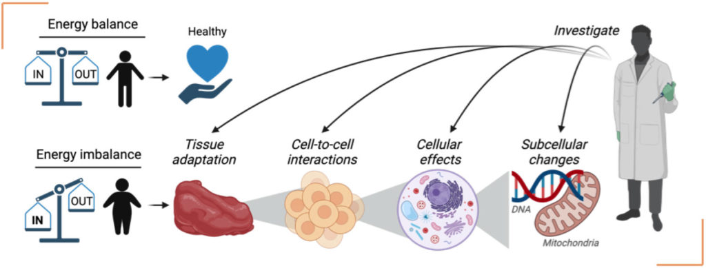 ddi-announces-the-establishment-of-a-new-research-department-bioenergetics